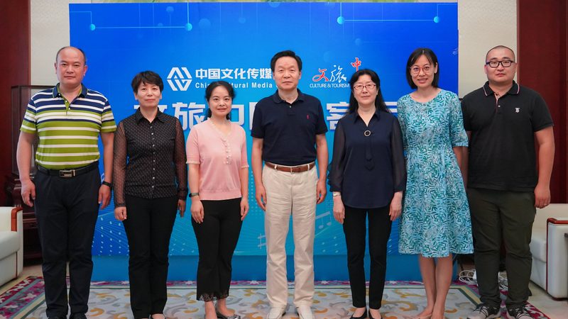 VI设计素材分类全解析：如何高效选择与应用