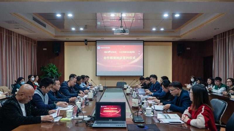 个人博主选短视频还是长视频